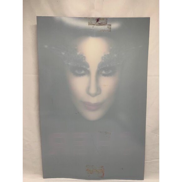 Cher "Dressed To Kill" Lenticular Concert Poster Sign 17"x11" See pictures - Picture 3 of 4